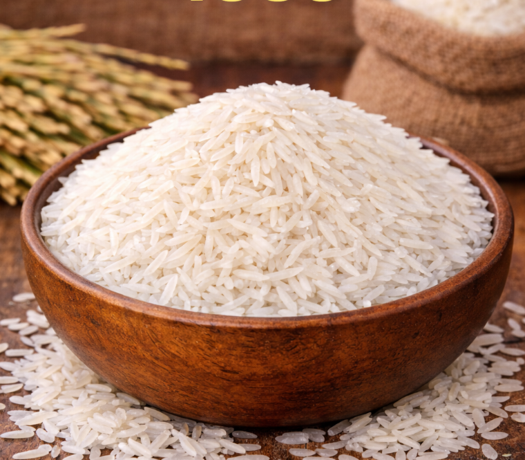 1885 basmati rice grains for bulk export from India